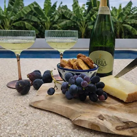 Casa Gusta Ibiza Vibes